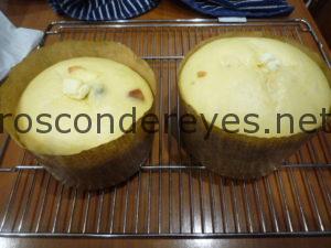 panettones levados